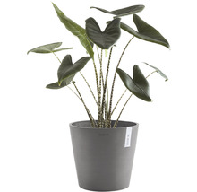 Blomkruka ECOPOTS Amsterdam Ø30x26cm grå