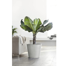 Blomkruka ECOPOTS Amsterdam Ø40x35cm vitgrå