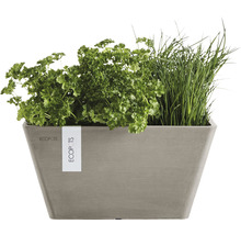Blomkruka ECOPOTS 25x25x13cm taupe