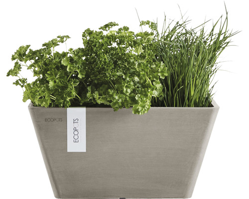 Rektangulär blomlåda med örter