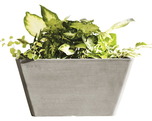 Rektangulär Ecopots blomlåda med växter