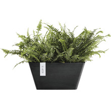 Blomkruka ECOPOTS 25x25x13cm mörkgrå