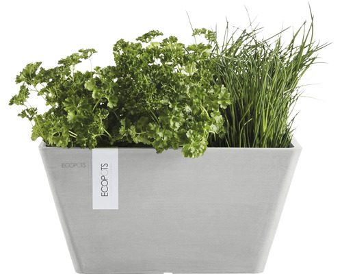 Ecopots planteringskärl med örter