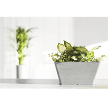 Blomkruka ECOPOTS 31x31x15,5cm vitgrå