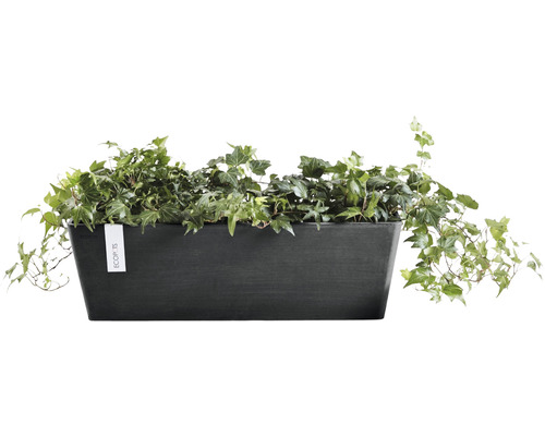 Rektangulär blomlåda med murgröna