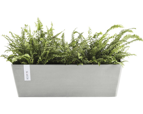 Rektangulär planteringslåda med ormbunke