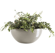Blomkruka ECOPOTS Brussels Ø35x16,5cm taupe