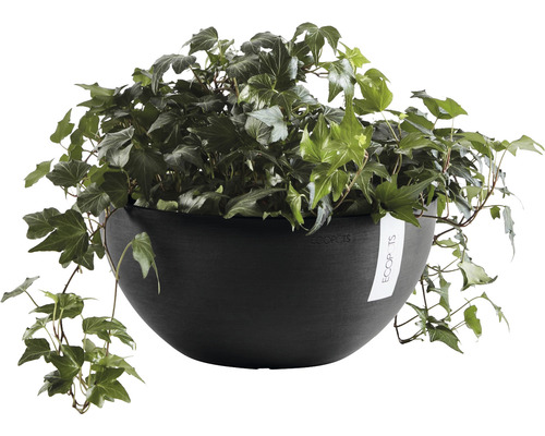 Ecopots planteringskärl med murgröna