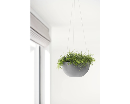 Hängande blomkruka med växt