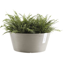 Blomkruka ECOPOTS Frankfurt Ø30,5x15cm taupe