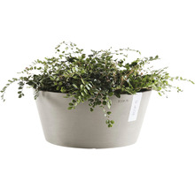 Blomkruka ECOPOTS Frankfurt Ø41x18cm taupe