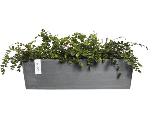 Rektangulär blomlåda i plast med gröna växter