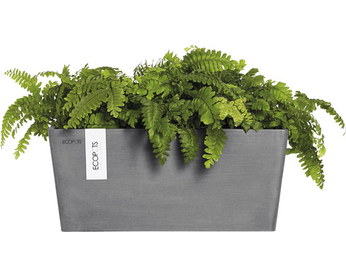 Rektangulär blomlåda med ormbunke