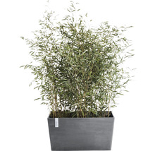 Blomkruka ECOPOTS Paris 60x26x40cm grå