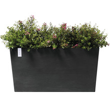 Blomkruka ECOPOTS Paris med hjul 100x40x50cm mörkgrå