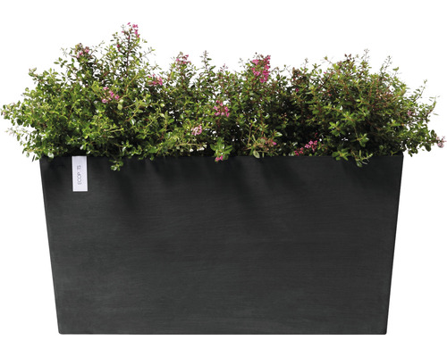 Rektangulär planteringslåda med plantering