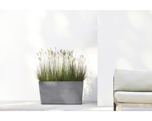 Rektangulär planteringslåda med prydnadsgräs på en terrass