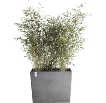 Blomkruka ECOPOTS Paris med hjul 85x40x65cm grå