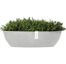 Planteringskärl med plantering