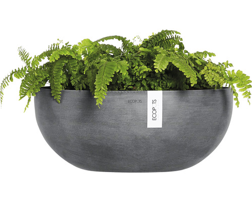 Grå Ecobots planteringskruka med ormbunke