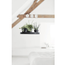 Krukfat ECOPOTS hängade Ø36x3cm mörkgrå