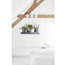 Krukfat ECOPOTS hängade Ø36x3cm grå