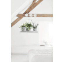 Krukfat ECOPOTS hängade Ø36x3cm vitgrå