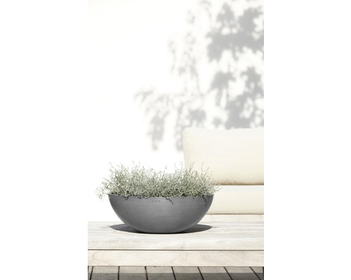 Skål med växt på ett trädgårdsbord