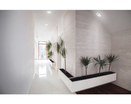 Ljus hall med växter i vita planteringslådor och infällda spotlights i taket