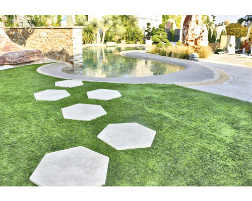 Trädgårdsscen med gräsmatta, vattenbassäng och sexkantiga trampstenar