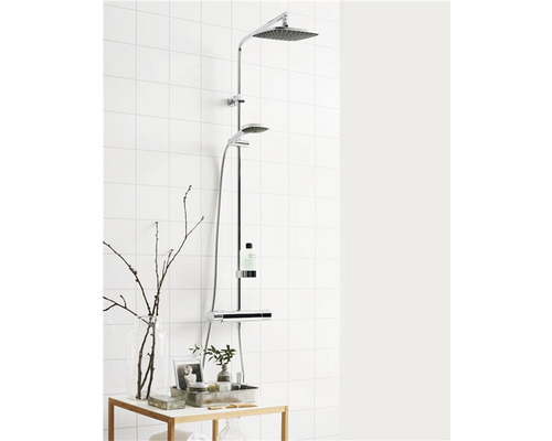 Duschsystem med huvud- och handdusch i badrummet