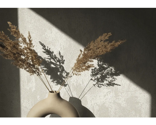 Dekorativa torkade blommor i en vas med skugga på väggen