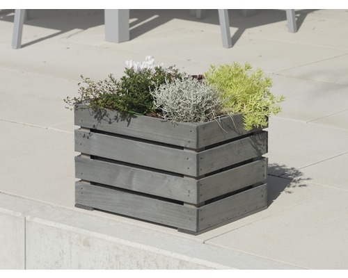 Blomlåda i trä med diverse växter