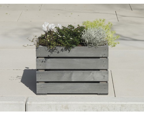 Blomlåda i trä med plantering