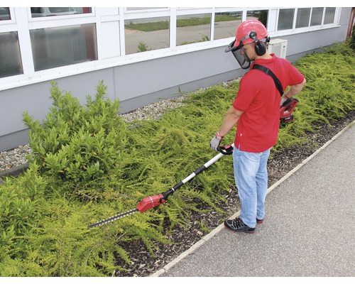 Man klipper häck med en batteridriven häcksax med teleskopskaft och skyddsanordning