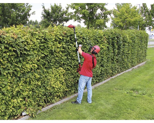 En person klipper en häck med en batteridriven häcksax med teleskopskaft.