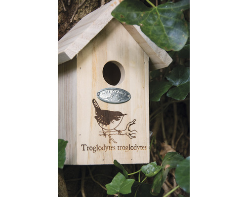 Fågelholk av trä med en bild av en gärdsmyg och texten Troglodytes troglodytes