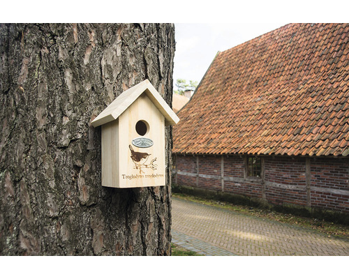 Fågelholk i trä på träd med gärdsmygsillustration