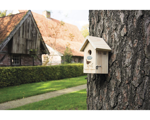 Fågelholk i trä fäst på ett träd