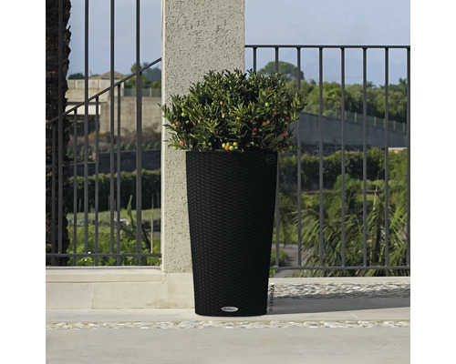 Hög, flätad blomkruka med plantering utomhus.