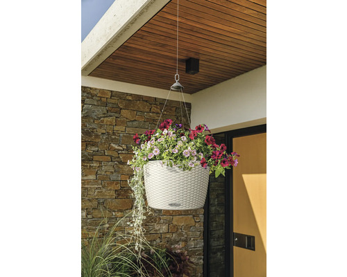 Hängande blomkruka med färgglada blommor framför en husvägg