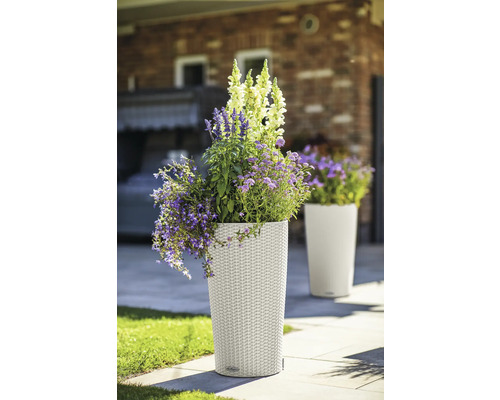Blomsterarrangemang i planteringskärl i trädgården