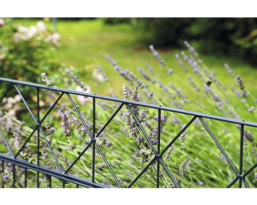Metallstaket med dekorativt galler framför lavendel i trädgården