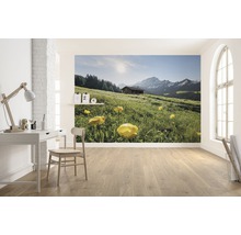 Fototapet med bergslandskap och alpstuga i ett ljust rum