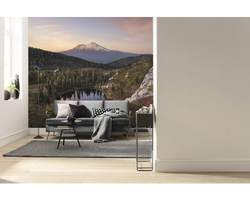 Vardagsrum med fototapet med bergslandskap, soffa, matta och golvlampa