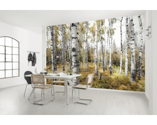 Ljust rum med fototapet som visar en björkskog