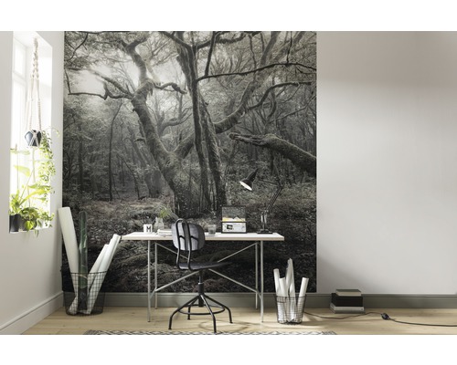 Scen med en fototapet med skogsmotiv bakom ett skrivbord