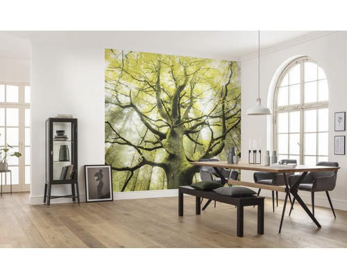 Matsal med fototapet av ett träd i skogen, matbord med stolar och bänk samt vitrinskåp.