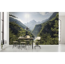 Vardagsrum med fototapet av en trädbevuxen bergdal, matbord och stolar