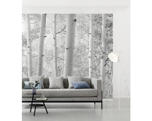 Vardagsrum med fototapet björkskog, soffa, golvlampa och bord